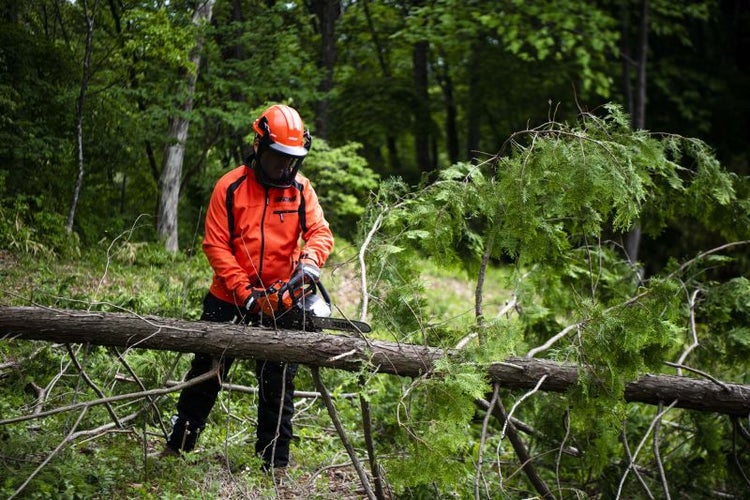 Mann mit Schutzkleidung und Kettensäge beim Baumschneiden