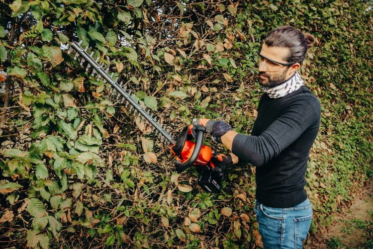 Mann schneidet Hecke mit einer Heckenschere