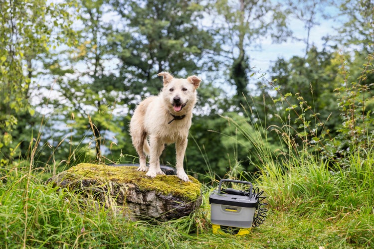 Mobile Outdoor Cleaner OC 4 + Pet Kit