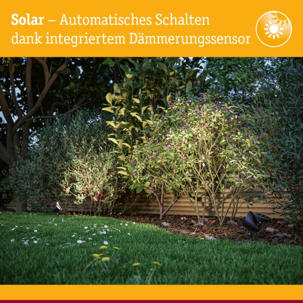 Gartenlandschaft mit Solarleuchten und Dämmerungssensor