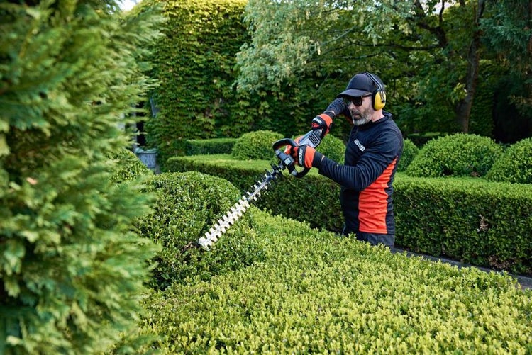 Mann schneidet Hecke mit Heckenschere in einem Garten