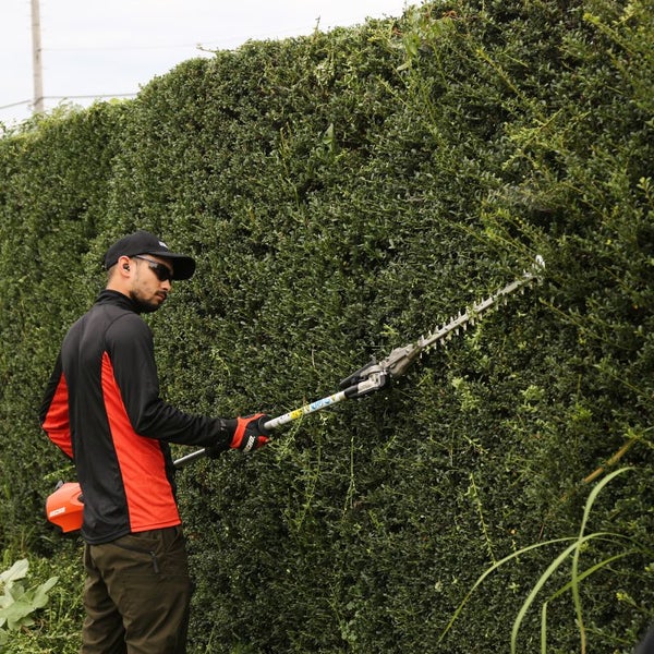 Eine Person schneidet eine Hecke mit einer Heckenschere.