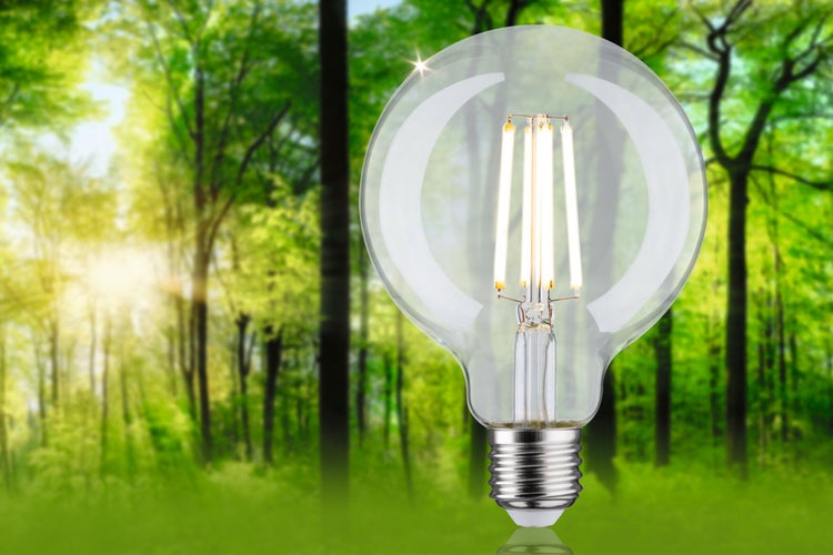 Eco-Line Filament 230V LED Globe G95 E27 840lm 4W 3000K Klar