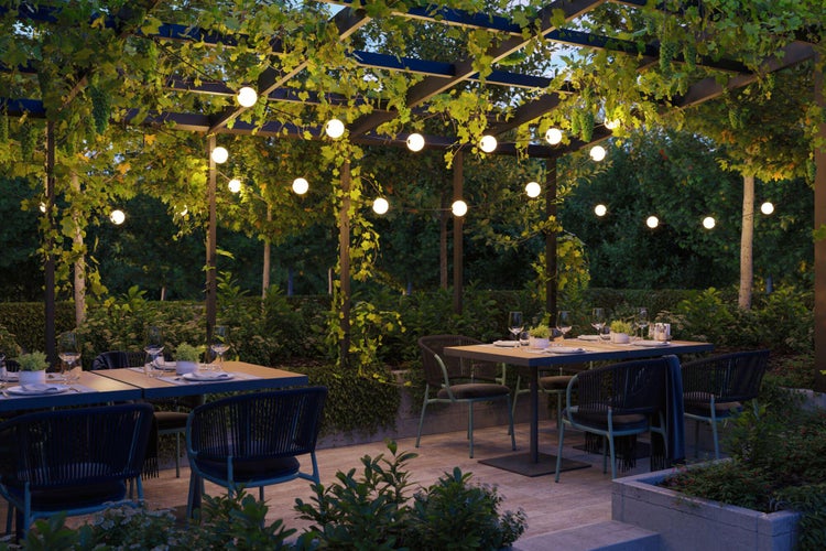 Gedeckter Esstisch unter einer Pergola mit Weinreben und Lichterkette im Garten.