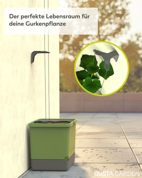 Gusta Garden Gurken-Rankhilfe mit Pflanzkasten zur Aufzucht von Gurkenpflanzen auf dem Balkon oder der Terrasse