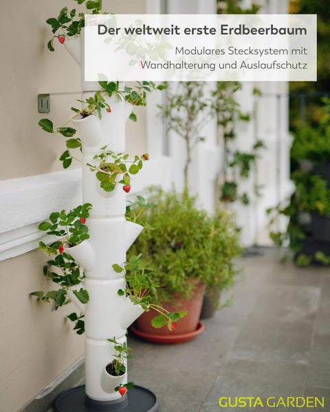 Weiße vertikale Pflanzsäule für Erdbeeren mit modularem Stecksystem und Wandhalterung im Außenbereich.