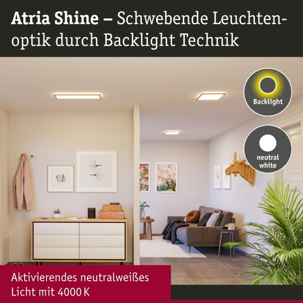 LED Panel Atria Shine Backlight IP44 eckig 293x293mm 16W 1600lm 4000K Holzoptik