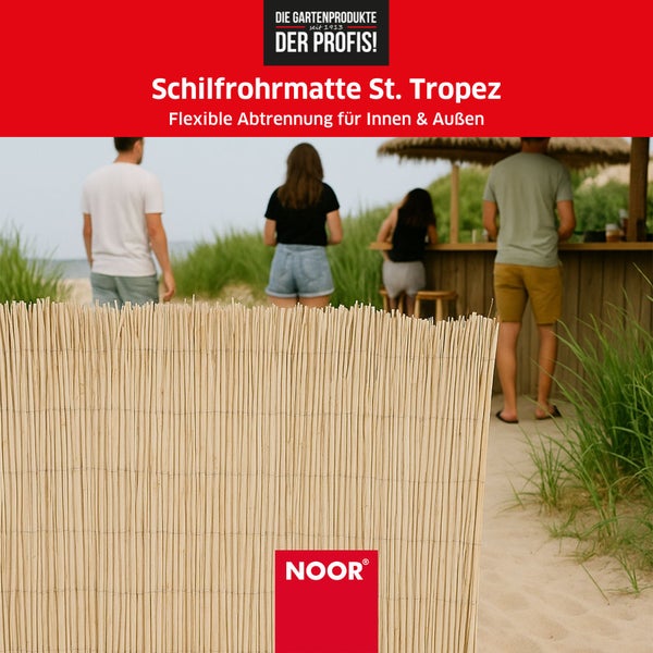 Schilfrohrmatte ST. TROPEZ - Naturprodukt - In- und Outdoor Sichtschutz - 100x600 cm - Blickschutz und Dekorationselement in Einem