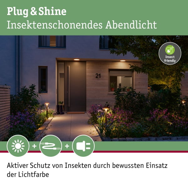 LED Pollerleuchte Smart Home Zigbee 3.0 Plate insektenfreundlich IP44 zylindrisch 600mm Tunable Warm 5,5W 280lm 230V Anthrazit Metall, Kunststoff