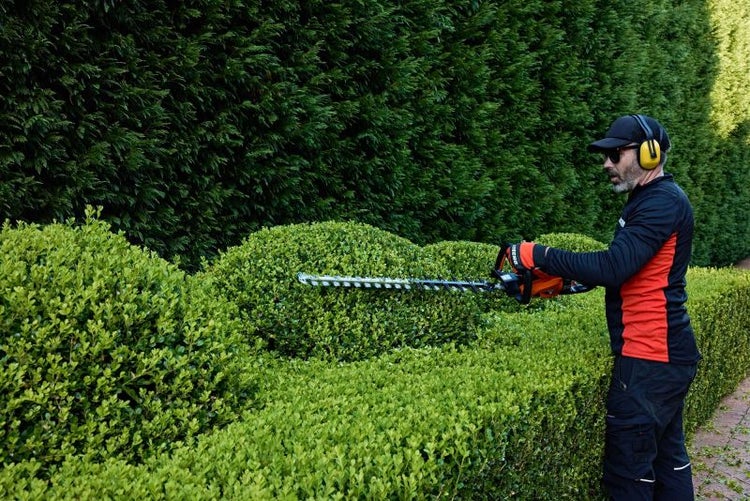 Mann schneidet Hecke mit Heckenschere im Garten.