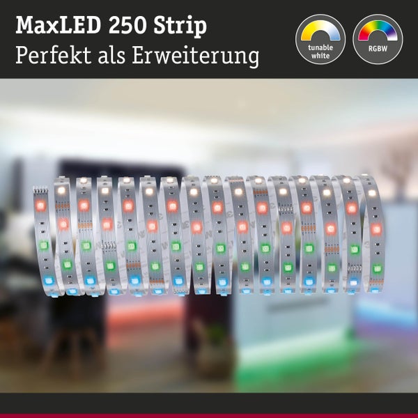 MaxLED 250 Strip zur Erweiterung mit einstellbarem Weiß und RGBW