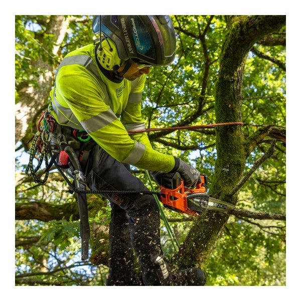 Baumpfleger mit Schutzausrüstung und Kettensäge bei der Arbeit im Baum
