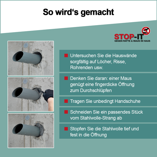 Infografik zur Anwendung von Stahlwolle gegen Nagetiere. Gezeigt wird das Abdichten einer Rohröffnung in einer Betonwand mit Stahlwolle.
