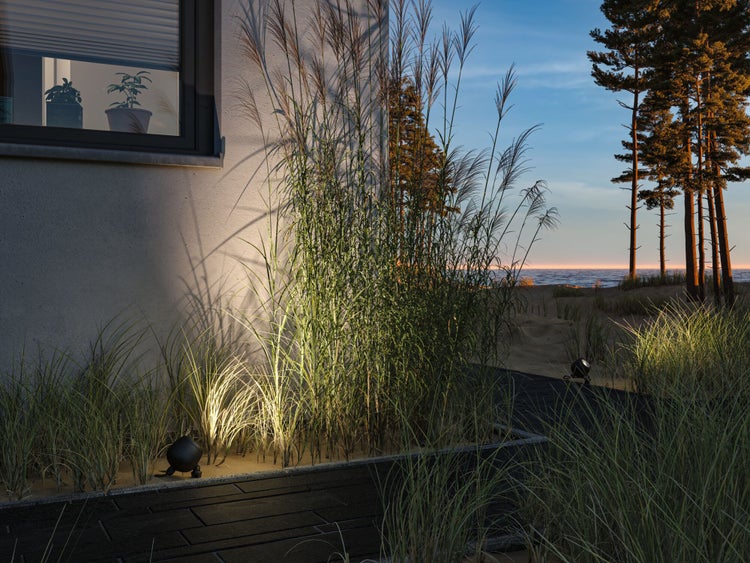 Beleuchtete Ziergräser neben einem Haus mit Küstenlandschaft im Hintergrund.