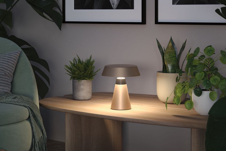 Dekorative Tischleuchte auf einem Tisch mit Pflanzen