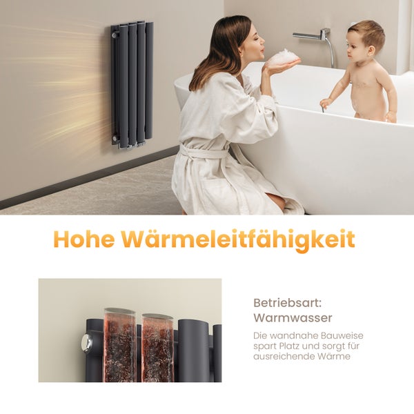 EMKE Badheizkörper 600×240 mm, Designheizkörper, Vertikal, Doppelrohr oval, 248 W, Anthrazit, für Warmwasserbetrieb, für Bad, Zentralanschluss