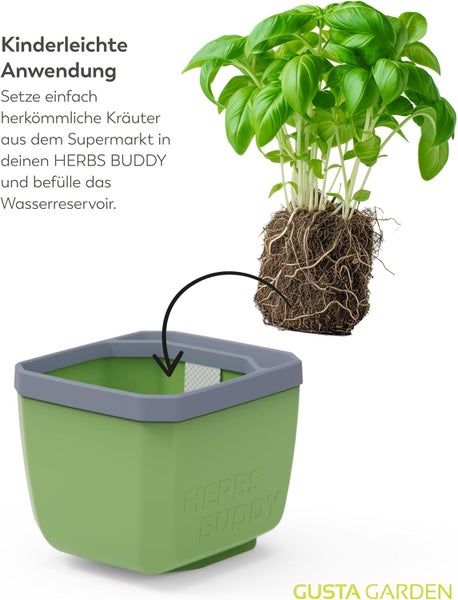 Kräutertopf mit Basilikumpflanze und Wasserreservoir