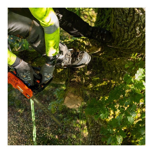 Baumpfleger sägt mit einer Kettensäge einen Ast von einem Baum.