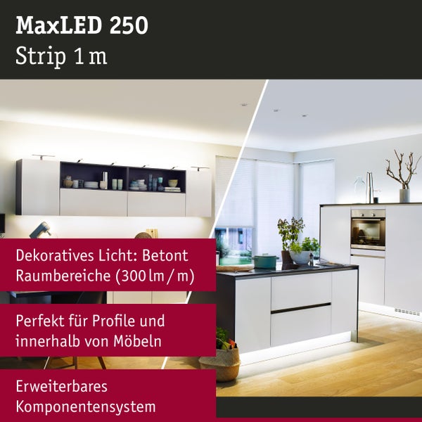 MaxLED 250 Strip 1 m in einer modernen Küche mit dekorativer Beleuchtung