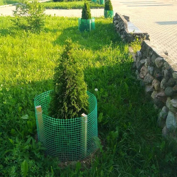 Kunststoffzaun Florade 1,5 m x 25 m Polyethylen (PE) Grün inkl. wetterfestem, stabilem und langlebigem Material