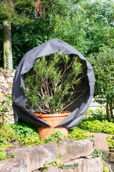 Pflanzenschutzhaube für Kübelpflanzen im Garten zur Überwinterung