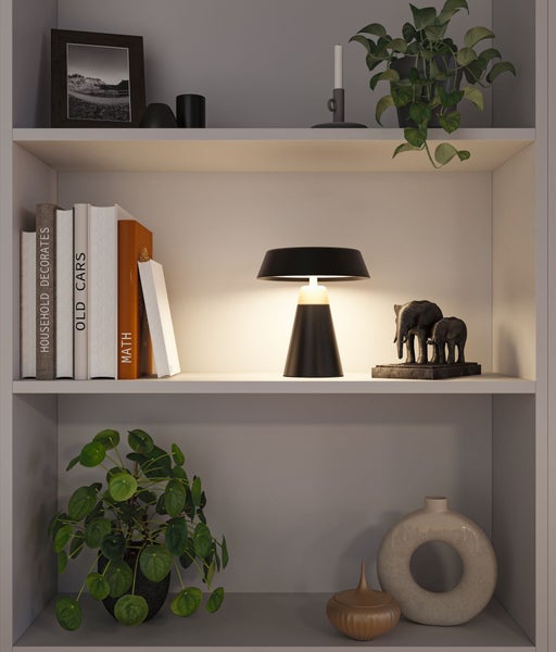 Regal mit Büchern, Zimmerpflanzen, einer Tischleuchte und Dekorationsartikeln