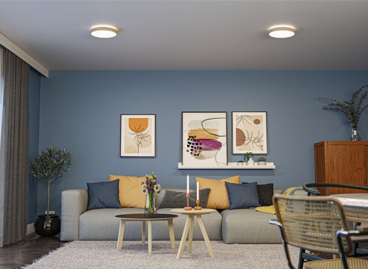 Sechs rote Klappstühle mit Metallgestell