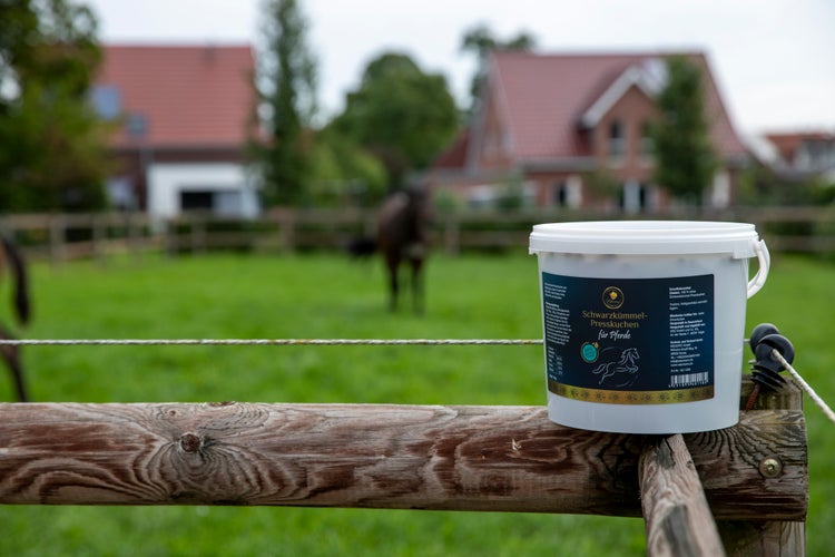 frisches Bio Schwarzkümmelkuchen 3kg von Naturezon