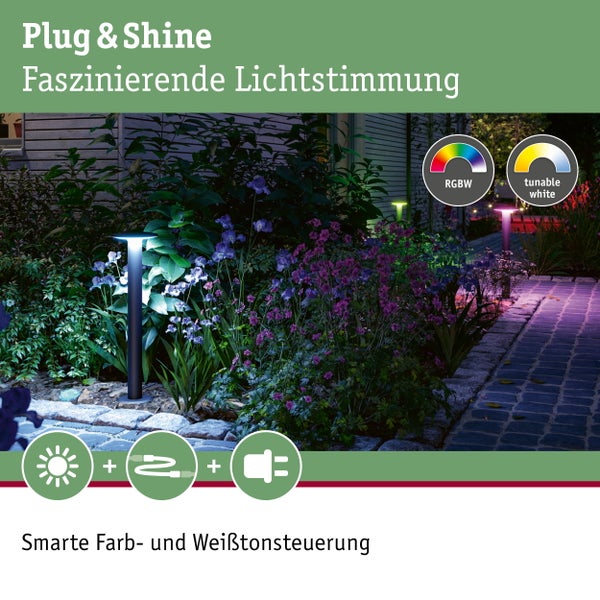 LED Pollerleuchte Smart Home Zigbee 3.0 Plate IP44 zylindrisch 600mm RGBW+ 5W 200lm 230V Anthrazit Metall, Kunststoff