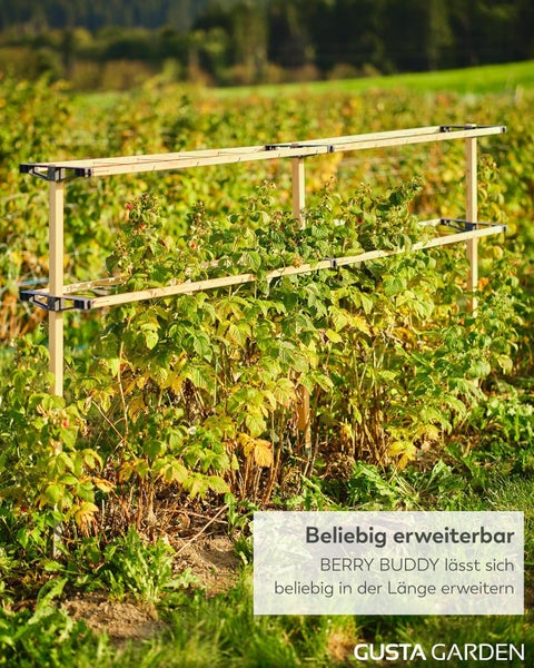 Gusta Garden Berry Buddy Beerenstütze aus Holz im Garten mit Himbeeren, modular erweiterbar. Gusta Garden Logo.