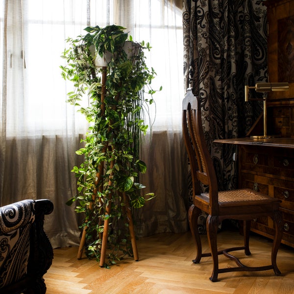 Szene mit Zimmerpflanze auf Holzständer, Stuhl und Schreibtisch in einem Raum