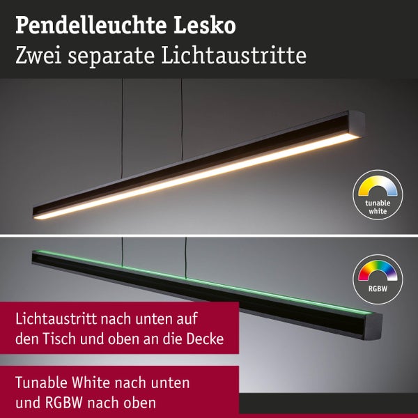 Lesko Pendelleuchte mit zwei separaten Lichtaustritten und Tunable White sowie RGBW Funktion