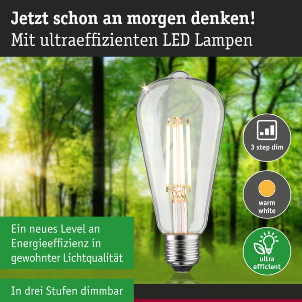Eco-Line Filament 230V LED Kolben ST64 E27 806lm 4,3W 3000K dimmbar Klar