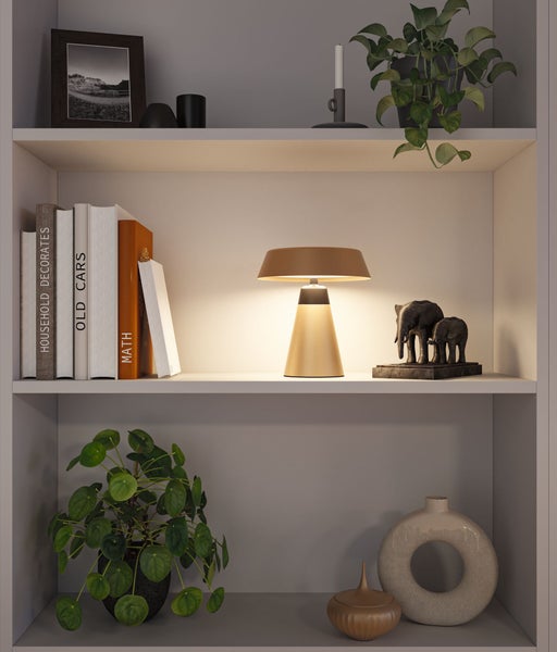 Dekoratives Bücherregal mit Tischleuchte, Pflanzen und Dekoration
