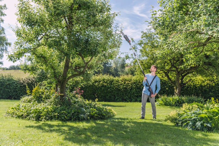 Mann schneidet Äste eines Baumes mit einem Teleskop-Hochentaster in einem hellen Garten.
