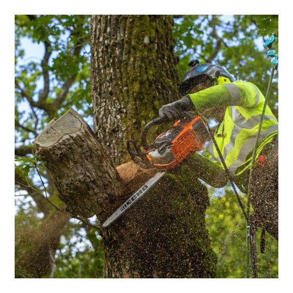 Baumpfleger mit Kettensäge beim Beschneiden eines Baumes.