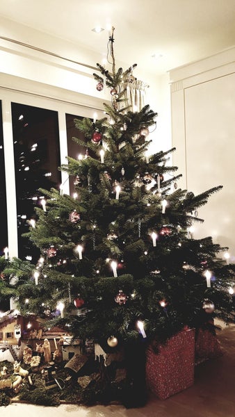 Geschmückter Weihnachtsbaum mit Christbaumkrippe und Geschenken im Wohnzimmer