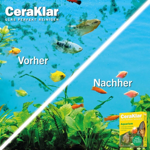 Vorher-Nachher-Vergleich der Aquariumreinigung mit CeraKlar. Links verschmutzt, rechts klare Sicht auf Fische. CeraKlar Logo oben links.
