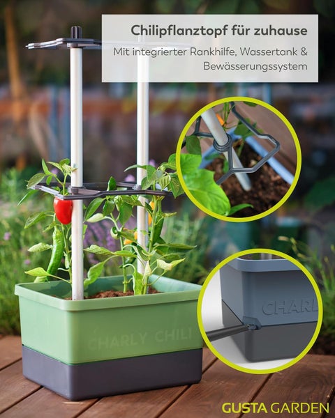 Chili Pflanztopf mit Rankhilfe, Wassertank und Bewässerungssystem für den Innenbereich.