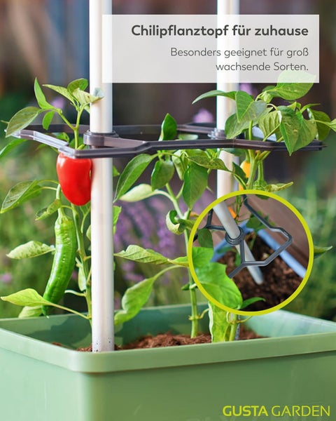 Chilipflanztopf mit Rankhilfe und Chili-Pflanze im Topf.