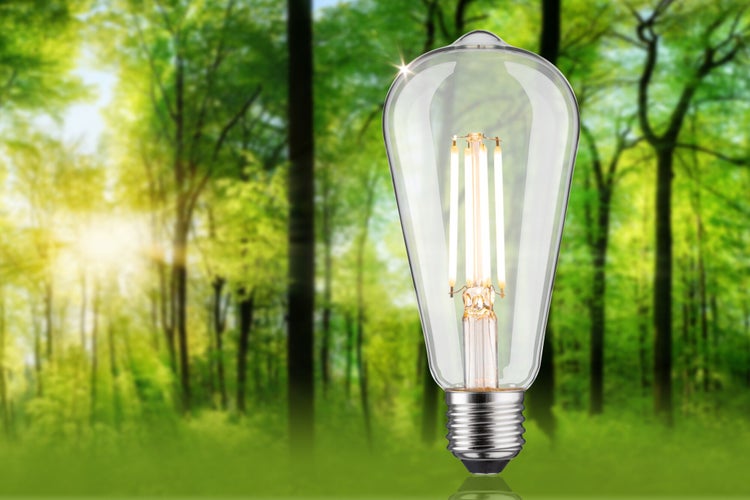 Eco-Line Filament 230V LED Kolben ST64 E27 806lm 4,3W 3000K dimmbar Klar
