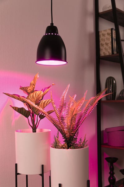 Neordic Set Pendelleuchte Hilla + LED Reflektor E27 Schwarz dimmbar Metall / 230V 200lm 6,5W 1300K