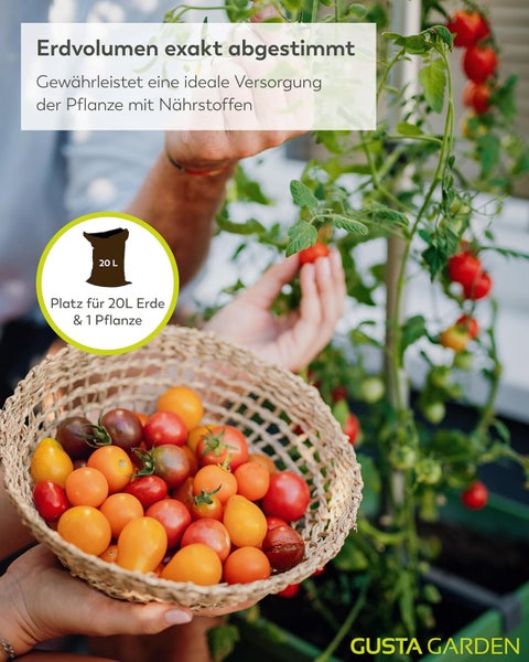 Geerntete Tomaten in einem Korb neben einer Tomatenpflanze