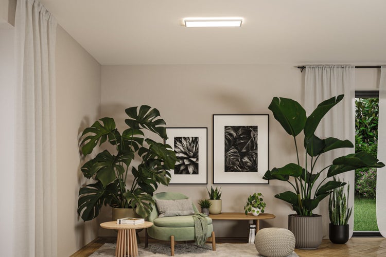 Wohnzimmer mit Zimmerpflanzen, Sessel, Bildern und Deckenleuchte