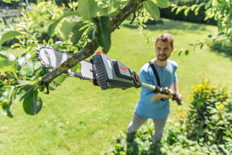 Ein Mann schneidet mit einem AL-KO Hochentaster mit Akkumulator einen Ast an einem Baum in einem hellen, grünen Garten.