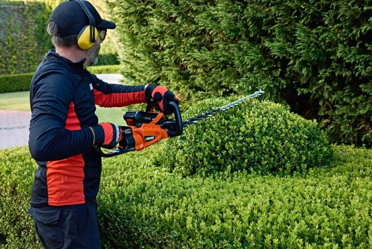 Eine Person schneidet mit einer Heckenschere eine Hecke