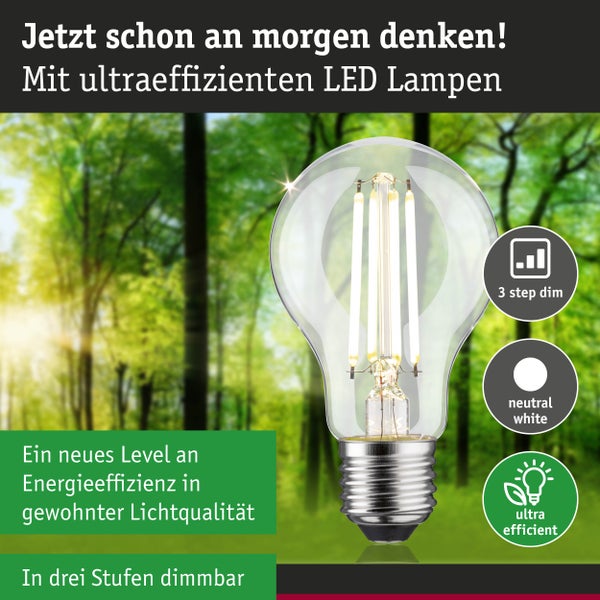 Eco-Line Filament 230V LED Birne E27 Einzelleuchte 806lm 4,3W 4000K dimmbar Klar