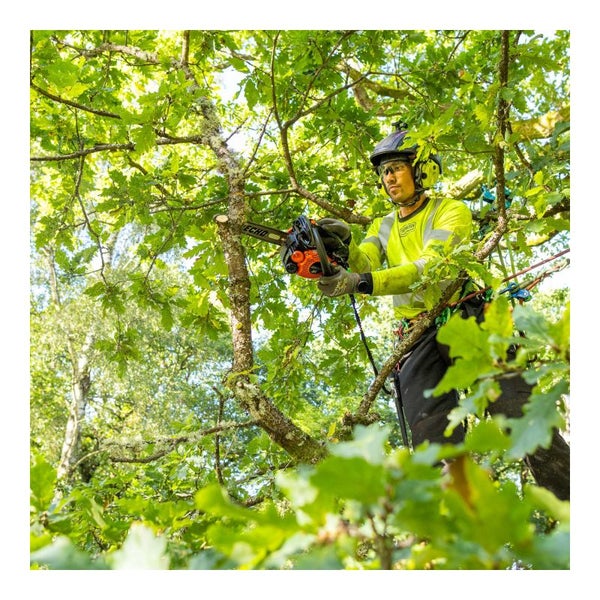 Baumpfleger mit Kettensäge bei der Arbeit im Baum.