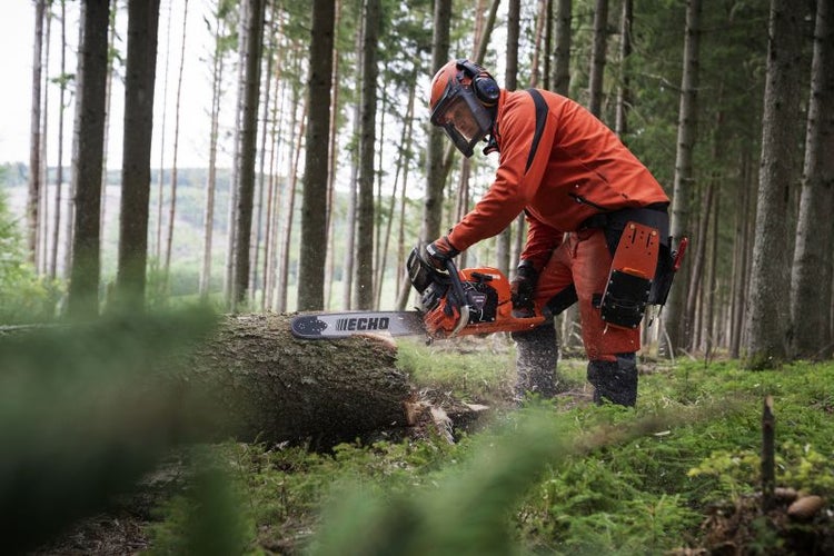 Ein Mann mit Schutzausrüstung sägt mit einer Echo Kettensäge einen Baumstamm im Wald.