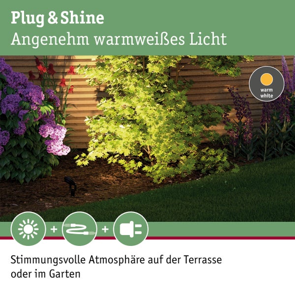Beleuchteter Garten mit warmweissem Licht für eine angenehme Atmosphäre